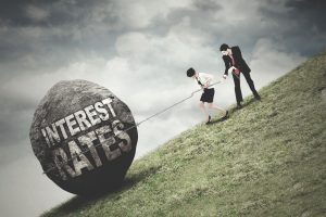 credit card interest rates burden families